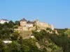 Rheinfels Castle - Sankt Goar