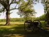 Shiloh National Military Park