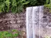 Tews Falls