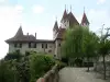 Thun Castle