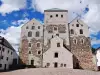 Turku Castle