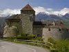 Vaduz Castle in Liechtenstein