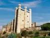 Valencia de Don Juan Castle