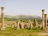 Volubilis Morocco