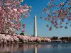 Washington Monument