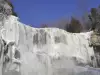 Webster Falls